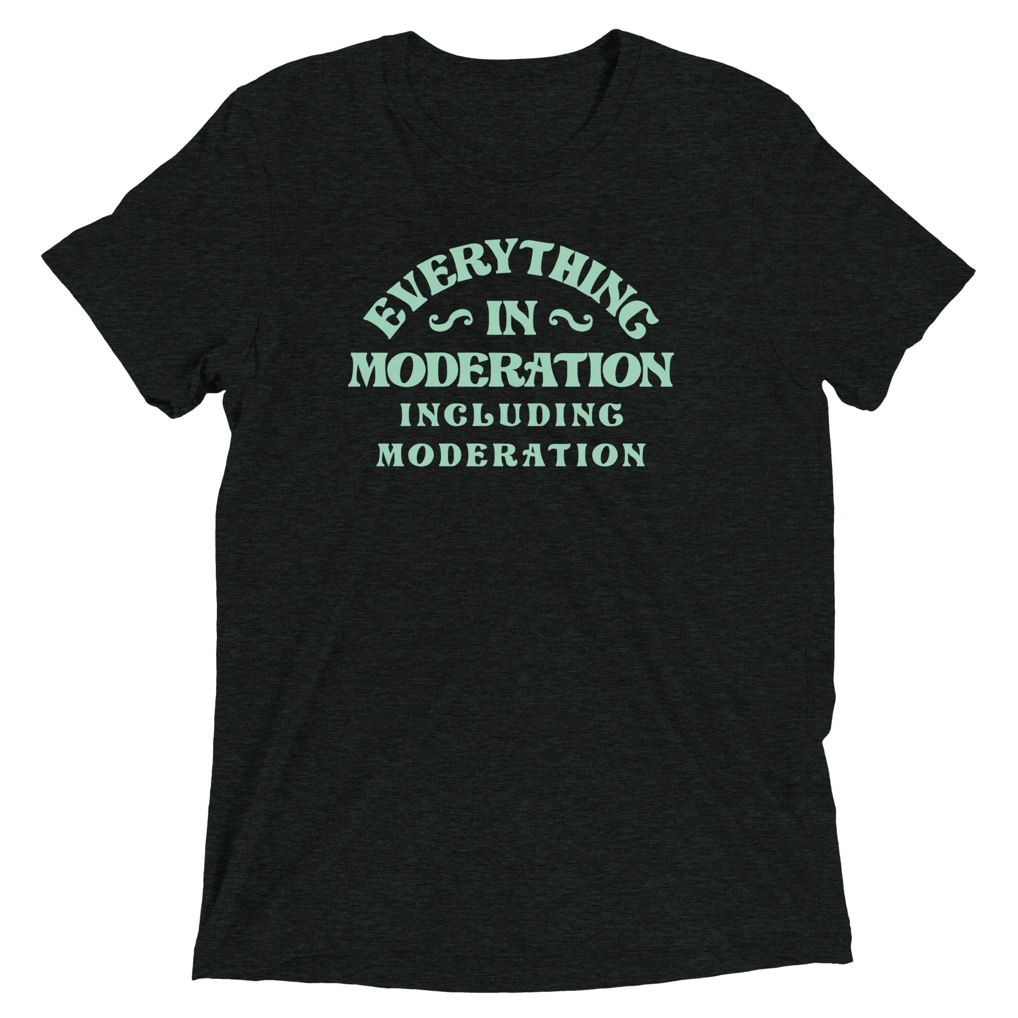 Everything In Moderation Including Men's Tri-Blend - Adult & Kids T-Shirts, Sweatshirts & Hoodies apparel design preview 1