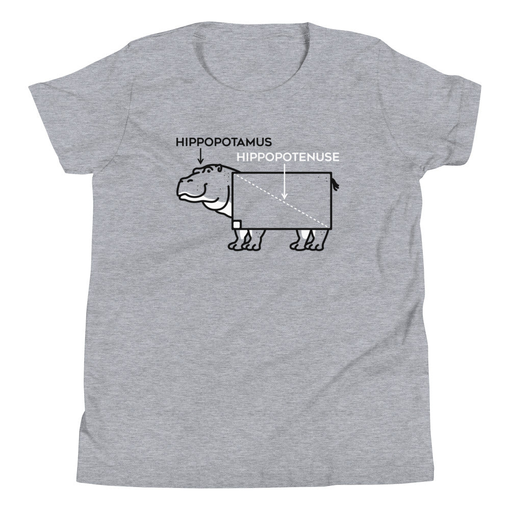 Hippopotenuse Kid's - Adult & Kids T-Shirts, Sweatshirts & Hoodies apparel design preview 1