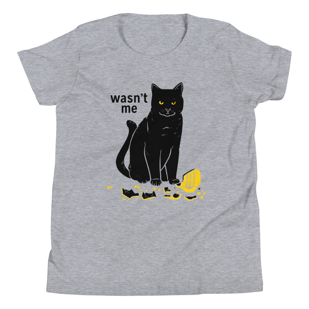 Wasn't Me Kid's - Adult & Kids T-Shirts, Sweatshirts & Hoodies apparel design preview 1