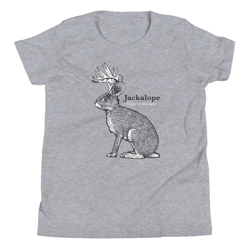 Jackalope Kid's - Adult & Kids T-Shirts, Sweatshirts & Hoodies apparel design preview 1