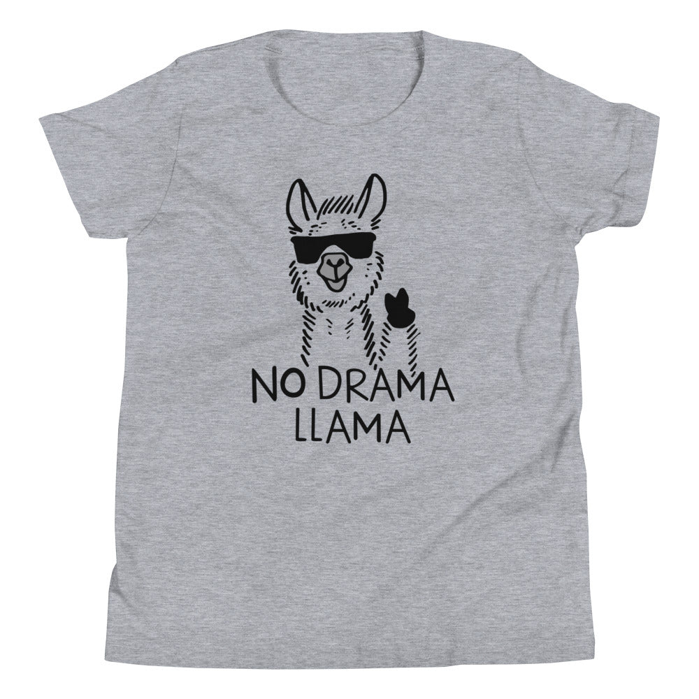No Drama Llama Kid's - Adult & Kids T-Shirts, Sweatshirts & Hoodies apparel design preview 1