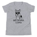 No Drama Llama Kid's - Adult & Kids T-Shirts, Sweatshirts & Hoodies apparel design preview 1