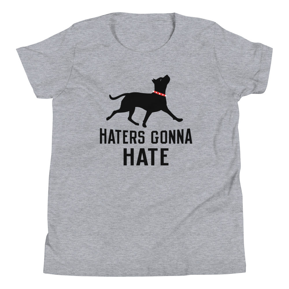 Haters Gonna Hate Pit Kid's - Adult & Kids T-Shirts, Sweatshirts & Hoodies apparel design preview 1