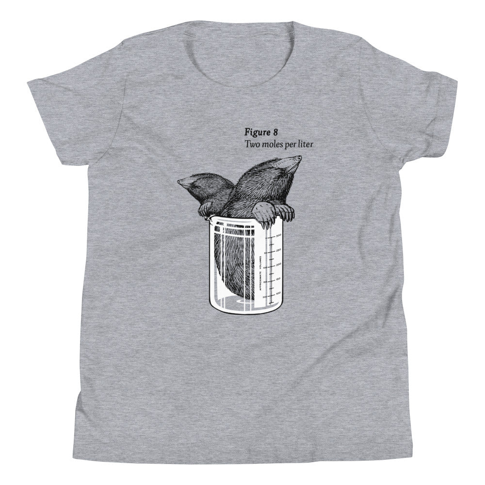 Two Moles Per Liter Kid's - Adult & Kids T-Shirts, Sweatshirts & Hoodies apparel design preview 1