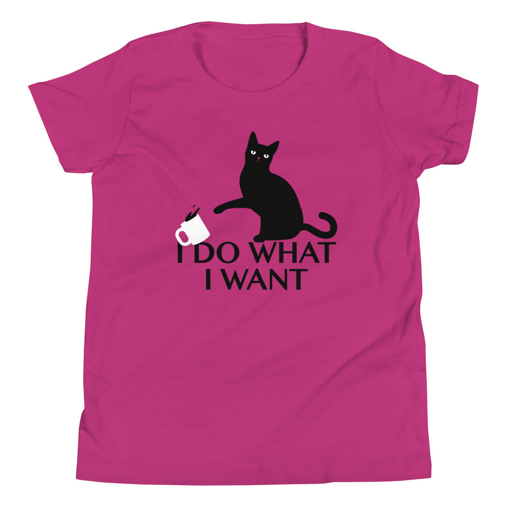 I Do What Want Kid's - Adult & Kids T-Shirts, Sweatshirts & Hoodies apparel design preview 1