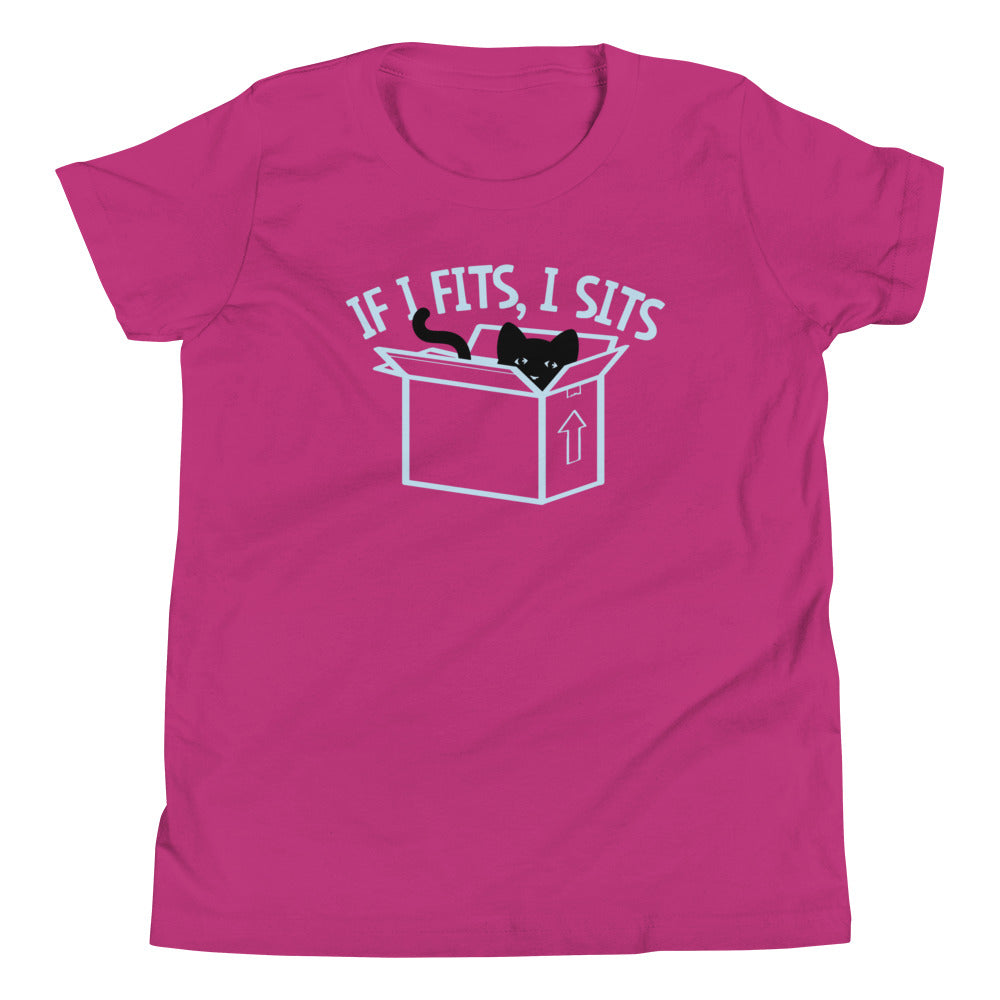 If I Fits, Sits Kid's - Adult & Kids T-Shirts, Sweatshirts & Hoodies apparel design preview 1