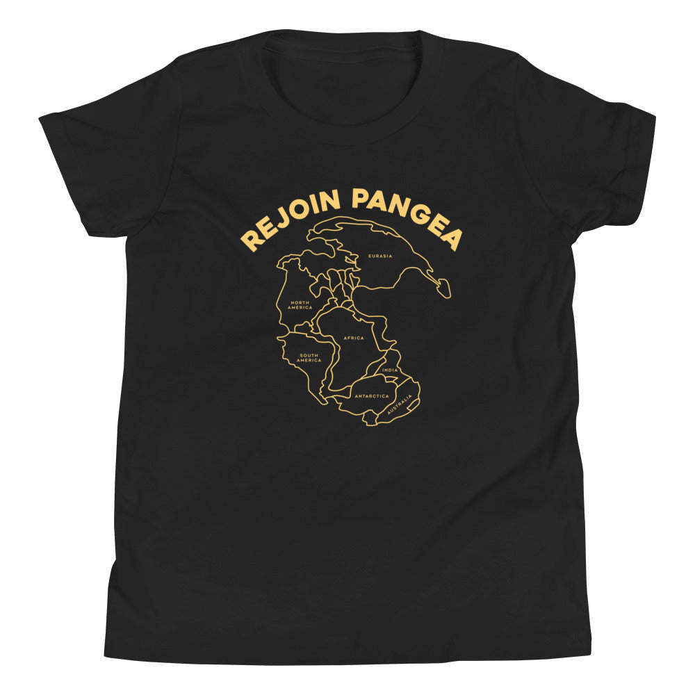 Rejoin Pangea Kid's - Adult & Kids T-Shirts, Sweatshirts & Hoodies apparel design preview 1