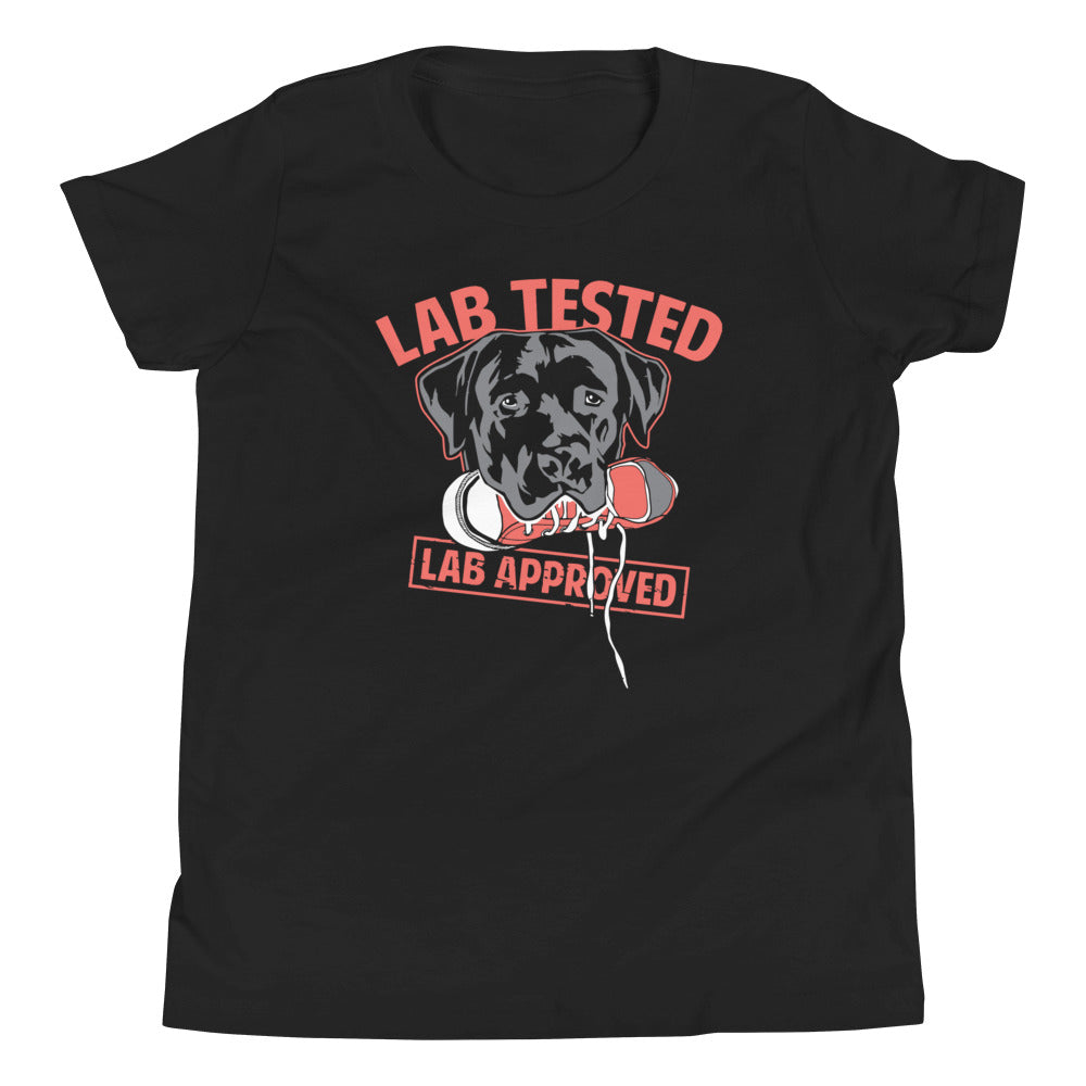 Lab Tested, Approved Kid's - Adult & Kids T-Shirts, Sweatshirts & Hoodies apparel design preview 1