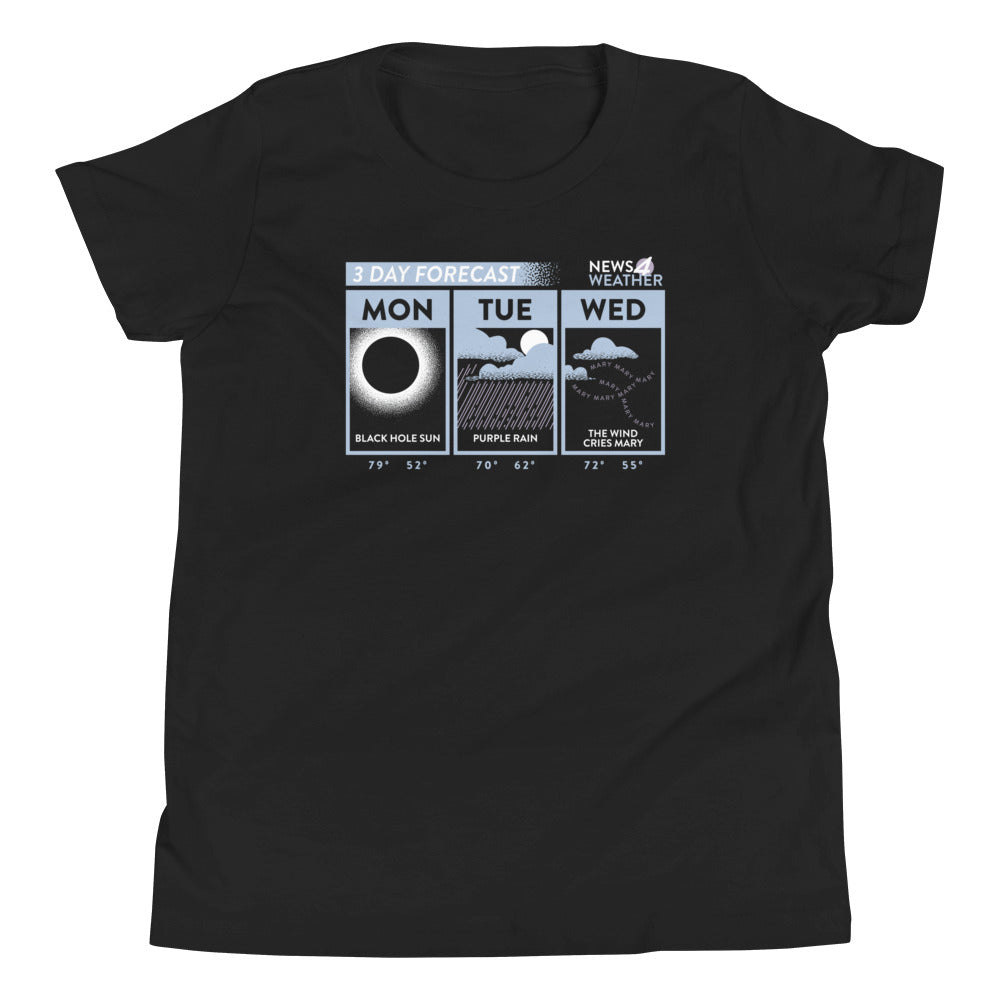 3 Day Forecast Kid's - Adult & Kids T-Shirts, Sweatshirts & Hoodies apparel design preview 1