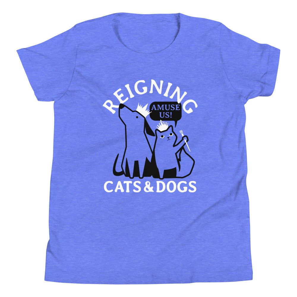 Reigning Cats And Dogs Kid's - Adult & Kids T-Shirts, Sweatshirts & Hoodies apparel design preview 1