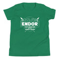 Save Endor Kid's - Adult & Kids T-Shirts, Sweatshirts & Hoodies apparel design preview 1