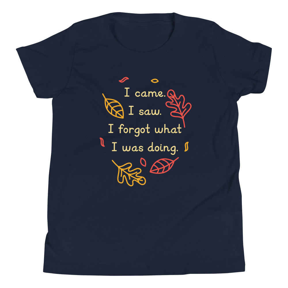 I Came. Saw. Forgot What Was Doing. Kid's - Adult & Kids T-Shirts, Sweatshirts & Hoodies apparel design preview 1
