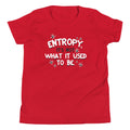 Entropy, It's Not What It Used To Be Kid's - Adult & Kids T-Shirts, Sweatshirts & Hoodies apparel design preview 1