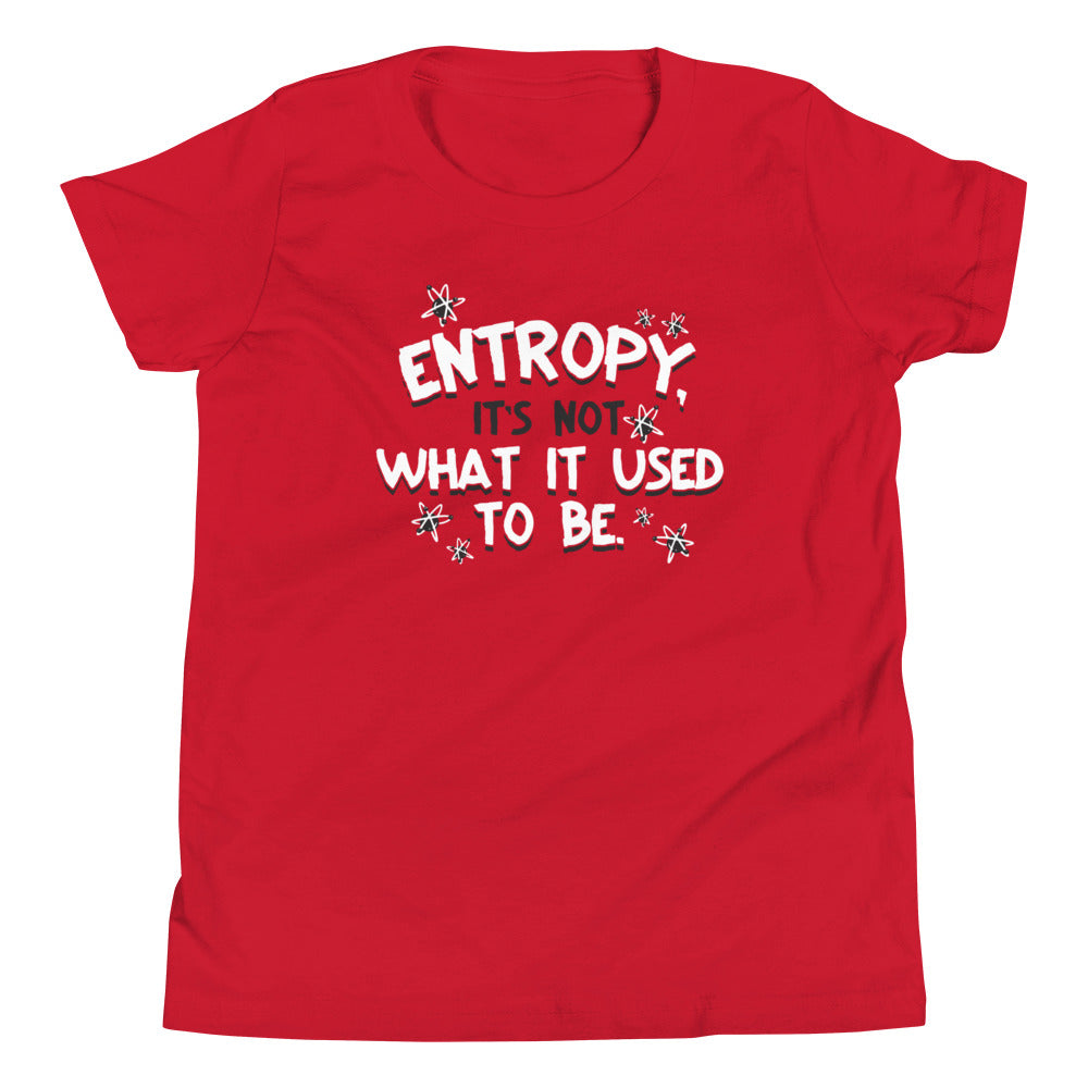 Entropy, It's Not What It Used To Be Kid's - Adult & Kids T-Shirts, Sweatshirts & Hoodies apparel design preview 1