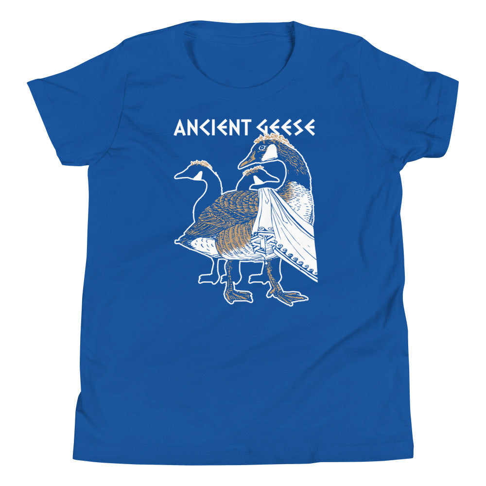 Ancient Geese Kid's - Adult & Kids T-Shirts, Sweatshirts & Hoodies apparel design preview 1